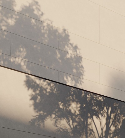 Shadow of a tree on a modern building facade