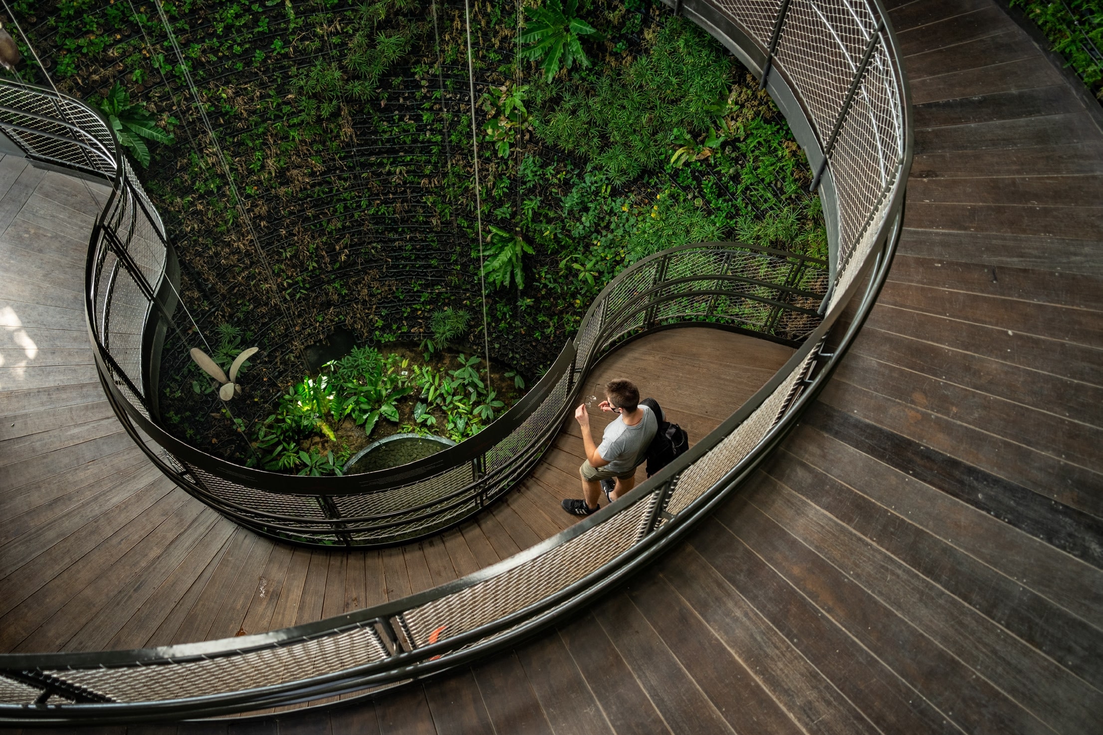 A person sitting on a curved wooden walkway overlooking a lush indoor atrium.